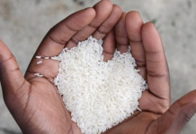 Infografis: Klarifikasi PT IBU atas Polemik Beras Maknyus