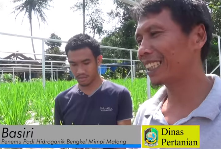 [VIDEO] Teknik Hidroganik, Teknik Baru Budidaya Padi